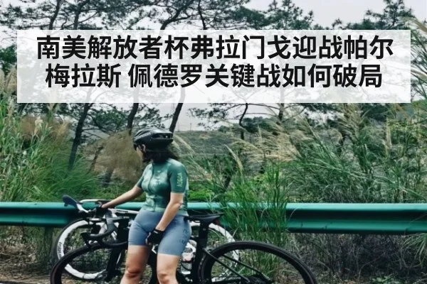 南美解放者杯弗拉门戈迎战帕尔梅拉斯 佩德罗关键战如何破局 | kaiyun